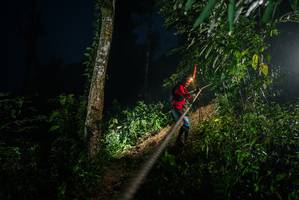 BIB: 
                            <button type="button" onclick="openModal(26374875)" class="btn btn-primary btn-sm float-right btn-popup" data-toggle="modal" data-target=".modal-high-quality">
                        <i class="fas fa-shopping-cart"></i> Add to Cart
                    </button>
                                            <button type="button" onclick="isThisMe(26374875, true)" class="btn btn-success btn-sm float-right btn-popup btn-isme hidden" data-toggle="tooltip" data-placement="bottom" title="นี่คือรูปของคุณใช่ไหม คลิกที่นี่เพื่อเอาเข้าอัลบั้ม">
                        <i class="fas fa-plus"></i> Add to album
                    </button>
                    <button type="button" onclick="isThisMe(26374875, false)" class="btn btn-warning btn-sm float-right btn-popup btn-isnotme hidden">
                        <i class="fas fa-ban"></i> Remove from album
                    </button>