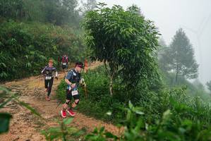 BIB: 
                            <button type="button" onclick="openModal(26382521)" class="btn btn-primary btn-sm float-right btn-popup" data-toggle="modal" data-target=".modal-high-quality">
                        <i class="fas fa-shopping-cart"></i> Add to Cart
                    </button>
                                            <button type="button" onclick="isThisMe(26382521, true)" class="btn btn-success btn-sm float-right btn-popup btn-isme hidden" data-toggle="tooltip" data-placement="bottom" title="นี่คือรูปของคุณใช่ไหม คลิกที่นี่เพื่อเอาเข้าอัลบั้ม">
                        <i class="fas fa-plus"></i> Add to album
                    </button>
                    <button type="button" onclick="isThisMe(26382521, false)" class="btn btn-warning btn-sm float-right btn-popup btn-isnotme hidden">
                        <i class="fas fa-ban"></i> Remove from album
                    </button>