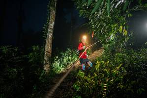 BIB: 
                            <button type="button" onclick="openModal(26374891)" class="btn btn-primary btn-sm float-right btn-popup" data-toggle="modal" data-target=".modal-high-quality">
                        <i class="fas fa-shopping-cart"></i> Add to Cart
                    </button>
                                            <button type="button" onclick="isThisMe(26374891, true)" class="btn btn-success btn-sm float-right btn-popup btn-isme hidden" data-toggle="tooltip" data-placement="bottom" title="นี่คือรูปของคุณใช่ไหม คลิกที่นี่เพื่อเอาเข้าอัลบั้ม">
                        <i class="fas fa-plus"></i> Add to album
                    </button>
                    <button type="button" onclick="isThisMe(26374891, false)" class="btn btn-warning btn-sm float-right btn-popup btn-isnotme hidden">
                        <i class="fas fa-ban"></i> Remove from album
                    </button>