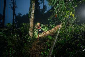 BIB: 
                            <button type="button" onclick="openModal(26375746)" class="btn btn-primary btn-sm float-right btn-popup" data-toggle="modal" data-target=".modal-high-quality">
                        <i class="fas fa-shopping-cart"></i> Add to Cart
                    </button>
                                            <button type="button" onclick="isThisMe(26375746, true)" class="btn btn-success btn-sm float-right btn-popup btn-isme hidden" data-toggle="tooltip" data-placement="bottom" title="นี่คือรูปของคุณใช่ไหม คลิกที่นี่เพื่อเอาเข้าอัลบั้ม">
                        <i class="fas fa-plus"></i> Add to album
                    </button>
                    <button type="button" onclick="isThisMe(26375746, false)" class="btn btn-warning btn-sm float-right btn-popup btn-isnotme hidden">
                        <i class="fas fa-ban"></i> Remove from album
                    </button>