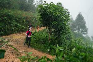 BIB: 
                            <button type="button" onclick="openModal(26383312)" class="btn btn-primary btn-sm float-right btn-popup" data-toggle="modal" data-target=".modal-high-quality">
                        <i class="fas fa-shopping-cart"></i> Add to Cart
                    </button>
                                            <button type="button" onclick="isThisMe(26383312, true)" class="btn btn-success btn-sm float-right btn-popup btn-isme hidden" data-toggle="tooltip" data-placement="bottom" title="นี่คือรูปของคุณใช่ไหม คลิกที่นี่เพื่อเอาเข้าอัลบั้ม">
                        <i class="fas fa-plus"></i> Add to album
                    </button>
                    <button type="button" onclick="isThisMe(26383312, false)" class="btn btn-warning btn-sm float-right btn-popup btn-isnotme hidden">
                        <i class="fas fa-ban"></i> Remove from album
                    </button>