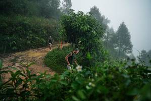 BIB: 
                            <button type="button" onclick="openModal(26378864)" class="btn btn-primary btn-sm float-right btn-popup" data-toggle="modal" data-target=".modal-high-quality">
                        <i class="fas fa-shopping-cart"></i> Add to Cart
                    </button>
                                            <button type="button" onclick="isThisMe(26378864, true)" class="btn btn-success btn-sm float-right btn-popup btn-isme hidden" data-toggle="tooltip" data-placement="bottom" title="นี่คือรูปของคุณใช่ไหม คลิกที่นี่เพื่อเอาเข้าอัลบั้ม">
                        <i class="fas fa-plus"></i> Add to album
                    </button>
                    <button type="button" onclick="isThisMe(26378864, false)" class="btn btn-warning btn-sm float-right btn-popup btn-isnotme hidden">
                        <i class="fas fa-ban"></i> Remove from album
                    </button>