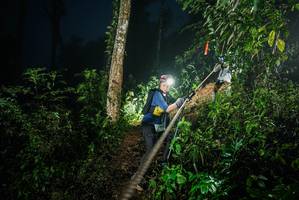 BIB: 
                            <button type="button" onclick="openModal(26375121)" class="btn btn-primary btn-sm float-right btn-popup" data-toggle="modal" data-target=".modal-high-quality">
                        <i class="fas fa-shopping-cart"></i> Add to Cart
                    </button>
                                            <button type="button" onclick="isThisMe(26375121, true)" class="btn btn-success btn-sm float-right btn-popup btn-isme hidden" data-toggle="tooltip" data-placement="bottom" title="นี่คือรูปของคุณใช่ไหม คลิกที่นี่เพื่อเอาเข้าอัลบั้ม">
                        <i class="fas fa-plus"></i> Add to album
                    </button>
                    <button type="button" onclick="isThisMe(26375121, false)" class="btn btn-warning btn-sm float-right btn-popup btn-isnotme hidden">
                        <i class="fas fa-ban"></i> Remove from album
                    </button>