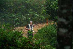 BIB: 
                            <button type="button" onclick="openModal(26376902)" class="btn btn-primary btn-sm float-right btn-popup" data-toggle="modal" data-target=".modal-high-quality">
                        <i class="fas fa-shopping-cart"></i> Add to Cart
                    </button>
                                            <button type="button" onclick="isThisMe(26376902, true)" class="btn btn-success btn-sm float-right btn-popup btn-isme hidden" data-toggle="tooltip" data-placement="bottom" title="นี่คือรูปของคุณใช่ไหม คลิกที่นี่เพื่อเอาเข้าอัลบั้ม">
                        <i class="fas fa-plus"></i> Add to album
                    </button>
                    <button type="button" onclick="isThisMe(26376902, false)" class="btn btn-warning btn-sm float-right btn-popup btn-isnotme hidden">
                        <i class="fas fa-ban"></i> Remove from album
                    </button>