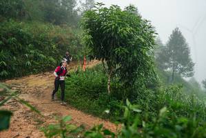 BIB: 
                            <button type="button" onclick="openModal(26383311)" class="btn btn-primary btn-sm float-right btn-popup" data-toggle="modal" data-target=".modal-high-quality">
                        <i class="fas fa-shopping-cart"></i> Add to Cart
                    </button>
                                            <button type="button" onclick="isThisMe(26383311, true)" class="btn btn-success btn-sm float-right btn-popup btn-isme hidden" data-toggle="tooltip" data-placement="bottom" title="นี่คือรูปของคุณใช่ไหม คลิกที่นี่เพื่อเอาเข้าอัลบั้ม">
                        <i class="fas fa-plus"></i> Add to album
                    </button>
                    <button type="button" onclick="isThisMe(26383311, false)" class="btn btn-warning btn-sm float-right btn-popup btn-isnotme hidden">
                        <i class="fas fa-ban"></i> Remove from album
                    </button>