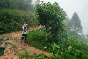 BIB: 
                            <button type="button" onclick="openModal(26382444)" class="btn btn-primary btn-sm float-right btn-popup" data-toggle="modal" data-target=".modal-high-quality">
                        <i class="fas fa-shopping-cart"></i> Add to Cart
                    </button>
                                            <button type="button" onclick="isThisMe(26382444, true)" class="btn btn-success btn-sm float-right btn-popup btn-isme hidden" data-toggle="tooltip" data-placement="bottom" title="นี่คือรูปของคุณใช่ไหม คลิกที่นี่เพื่อเอาเข้าอัลบั้ม">
                        <i class="fas fa-plus"></i> Add to album
                    </button>
                    <button type="button" onclick="isThisMe(26382444, false)" class="btn btn-warning btn-sm float-right btn-popup btn-isnotme hidden">
                        <i class="fas fa-ban"></i> Remove from album
                    </button>