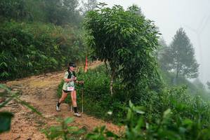 BIB: 
                            <button type="button" onclick="openModal(26382794)" class="btn btn-primary btn-sm float-right btn-popup" data-toggle="modal" data-target=".modal-high-quality">
                        <i class="fas fa-shopping-cart"></i> Add to Cart
                    </button>
                                            <button type="button" onclick="isThisMe(26382794, true)" class="btn btn-success btn-sm float-right btn-popup btn-isme hidden" data-toggle="tooltip" data-placement="bottom" title="นี่คือรูปของคุณใช่ไหม คลิกที่นี่เพื่อเอาเข้าอัลบั้ม">
                        <i class="fas fa-plus"></i> Add to album
                    </button>
                    <button type="button" onclick="isThisMe(26382794, false)" class="btn btn-warning btn-sm float-right btn-popup btn-isnotme hidden">
                        <i class="fas fa-ban"></i> Remove from album
                    </button>