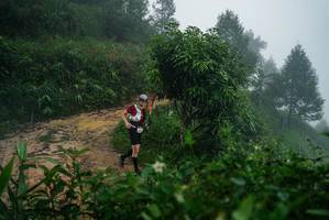 BIB: 
                            <button type="button" onclick="openModal(26378737)" class="btn btn-primary btn-sm float-right btn-popup" data-toggle="modal" data-target=".modal-high-quality">
                        <i class="fas fa-shopping-cart"></i> Add to Cart
                    </button>
                                            <button type="button" onclick="isThisMe(26378737, true)" class="btn btn-success btn-sm float-right btn-popup btn-isme hidden" data-toggle="tooltip" data-placement="bottom" title="นี่คือรูปของคุณใช่ไหม คลิกที่นี่เพื่อเอาเข้าอัลบั้ม">
                        <i class="fas fa-plus"></i> Add to album
                    </button>
                    <button type="button" onclick="isThisMe(26378737, false)" class="btn btn-warning btn-sm float-right btn-popup btn-isnotme hidden">
                        <i class="fas fa-ban"></i> Remove from album
                    </button>