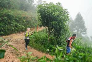 BIB: 
                            <button type="button" onclick="openModal(26384785)" class="btn btn-primary btn-sm float-right btn-popup" data-toggle="modal" data-target=".modal-high-quality">
                        <i class="fas fa-shopping-cart"></i> Add to Cart
                    </button>
                                            <button type="button" onclick="isThisMe(26384785, true)" class="btn btn-success btn-sm float-right btn-popup btn-isme hidden" data-toggle="tooltip" data-placement="bottom" title="นี่คือรูปของคุณใช่ไหม คลิกที่นี่เพื่อเอาเข้าอัลบั้ม">
                        <i class="fas fa-plus"></i> Add to album
                    </button>
                    <button type="button" onclick="isThisMe(26384785, false)" class="btn btn-warning btn-sm float-right btn-popup btn-isnotme hidden">
                        <i class="fas fa-ban"></i> Remove from album
                    </button>