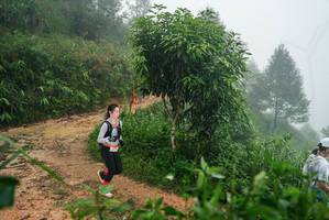 BIB: 
                            <button type="button" onclick="openModal(26382477)" class="btn btn-primary btn-sm float-right btn-popup" data-toggle="modal" data-target=".modal-high-quality">
                        <i class="fas fa-shopping-cart"></i> Add to Cart
                    </button>
                                            <button type="button" onclick="isThisMe(26382477, true)" class="btn btn-success btn-sm float-right btn-popup btn-isme hidden" data-toggle="tooltip" data-placement="bottom" title="นี่คือรูปของคุณใช่ไหม คลิกที่นี่เพื่อเอาเข้าอัลบั้ม">
                        <i class="fas fa-plus"></i> Add to album
                    </button>
                    <button type="button" onclick="isThisMe(26382477, false)" class="btn btn-warning btn-sm float-right btn-popup btn-isnotme hidden">
                        <i class="fas fa-ban"></i> Remove from album
                    </button>