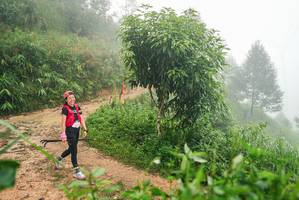 BIB: 
                            <button type="button" onclick="openModal(26385131)" class="btn btn-primary btn-sm float-right btn-popup" data-toggle="modal" data-target=".modal-high-quality">
                        <i class="fas fa-shopping-cart"></i> Add to Cart
                    </button>
                                            <button type="button" onclick="isThisMe(26385131, true)" class="btn btn-success btn-sm float-right btn-popup btn-isme hidden" data-toggle="tooltip" data-placement="bottom" title="นี่คือรูปของคุณใช่ไหม คลิกที่นี่เพื่อเอาเข้าอัลบั้ม">
                        <i class="fas fa-plus"></i> Add to album
                    </button>
                    <button type="button" onclick="isThisMe(26385131, false)" class="btn btn-warning btn-sm float-right btn-popup btn-isnotme hidden">
                        <i class="fas fa-ban"></i> Remove from album
                    </button>