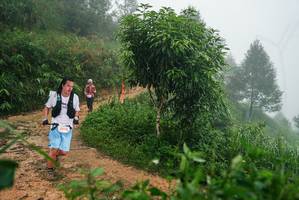 BIB: 
                            <button type="button" onclick="openModal(26383333)" class="btn btn-primary btn-sm float-right btn-popup" data-toggle="modal" data-target=".modal-high-quality">
                        <i class="fas fa-shopping-cart"></i> Add to Cart
                    </button>
                                            <button type="button" onclick="isThisMe(26383333, true)" class="btn btn-success btn-sm float-right btn-popup btn-isme hidden" data-toggle="tooltip" data-placement="bottom" title="นี่คือรูปของคุณใช่ไหม คลิกที่นี่เพื่อเอาเข้าอัลบั้ม">
                        <i class="fas fa-plus"></i> Add to album
                    </button>
                    <button type="button" onclick="isThisMe(26383333, false)" class="btn btn-warning btn-sm float-right btn-popup btn-isnotme hidden">
                        <i class="fas fa-ban"></i> Remove from album
                    </button>