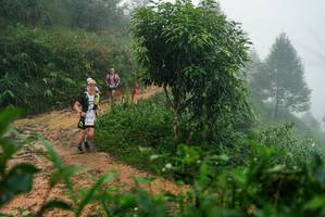 BIB: 
                            <button type="button" onclick="openModal(26381409)" class="btn btn-primary btn-sm float-right btn-popup" data-toggle="modal" data-target=".modal-high-quality">
                        <i class="fas fa-shopping-cart"></i> Add to Cart
                    </button>
                                            <button type="button" onclick="isThisMe(26381409, true)" class="btn btn-success btn-sm float-right btn-popup btn-isme hidden" data-toggle="tooltip" data-placement="bottom" title="นี่คือรูปของคุณใช่ไหม คลิกที่นี่เพื่อเอาเข้าอัลบั้ม">
                        <i class="fas fa-plus"></i> Add to album
                    </button>
                    <button type="button" onclick="isThisMe(26381409, false)" class="btn btn-warning btn-sm float-right btn-popup btn-isnotme hidden">
                        <i class="fas fa-ban"></i> Remove from album
                    </button>