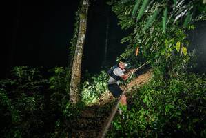 BIB: 
                            <button type="button" onclick="openModal(26374335)" class="btn btn-primary btn-sm float-right btn-popup" data-toggle="modal" data-target=".modal-high-quality">
                        <i class="fas fa-shopping-cart"></i> Add to Cart
                    </button>
                                            <button type="button" onclick="isThisMe(26374335, true)" class="btn btn-success btn-sm float-right btn-popup btn-isme hidden" data-toggle="tooltip" data-placement="bottom" title="นี่คือรูปของคุณใช่ไหม คลิกที่นี่เพื่อเอาเข้าอัลบั้ม">
                        <i class="fas fa-plus"></i> Add to album
                    </button>
                    <button type="button" onclick="isThisMe(26374335, false)" class="btn btn-warning btn-sm float-right btn-popup btn-isnotme hidden">
                        <i class="fas fa-ban"></i> Remove from album
                    </button>