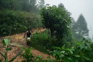 BIB: 
                            <button type="button" onclick="openModal(26380247)" class="btn btn-primary btn-sm float-right btn-popup" data-toggle="modal" data-target=".modal-high-quality">
                        <i class="fas fa-shopping-cart"></i> Add to Cart
                    </button>
                                            <button type="button" onclick="isThisMe(26380247, true)" class="btn btn-success btn-sm float-right btn-popup btn-isme hidden" data-toggle="tooltip" data-placement="bottom" title="นี่คือรูปของคุณใช่ไหม คลิกที่นี่เพื่อเอาเข้าอัลบั้ม">
                        <i class="fas fa-plus"></i> Add to album
                    </button>
                    <button type="button" onclick="isThisMe(26380247, false)" class="btn btn-warning btn-sm float-right btn-popup btn-isnotme hidden">
                        <i class="fas fa-ban"></i> Remove from album
                    </button>