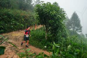 BIB: 
                            <button type="button" onclick="openModal(26383054)" class="btn btn-primary btn-sm float-right btn-popup" data-toggle="modal" data-target=".modal-high-quality">
                        <i class="fas fa-shopping-cart"></i> Add to Cart
                    </button>
                                            <button type="button" onclick="isThisMe(26383054, true)" class="btn btn-success btn-sm float-right btn-popup btn-isme hidden" data-toggle="tooltip" data-placement="bottom" title="นี่คือรูปของคุณใช่ไหม คลิกที่นี่เพื่อเอาเข้าอัลบั้ม">
                        <i class="fas fa-plus"></i> Add to album
                    </button>
                    <button type="button" onclick="isThisMe(26383054, false)" class="btn btn-warning btn-sm float-right btn-popup btn-isnotme hidden">
                        <i class="fas fa-ban"></i> Remove from album
                    </button>