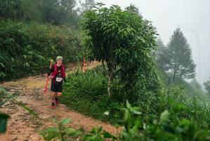 BIB: 
                            <button type="button" onclick="openModal(26382059)" class="btn btn-primary btn-sm float-right btn-popup" data-toggle="modal" data-target=".modal-high-quality">
                        <i class="fas fa-shopping-cart"></i> Add to Cart
                    </button>
                                            <button type="button" onclick="isThisMe(26382059, true)" class="btn btn-success btn-sm float-right btn-popup btn-isme hidden" data-toggle="tooltip" data-placement="bottom" title="นี่คือรูปของคุณใช่ไหม คลิกที่นี่เพื่อเอาเข้าอัลบั้ม">
                        <i class="fas fa-plus"></i> Add to album
                    </button>
                    <button type="button" onclick="isThisMe(26382059, false)" class="btn btn-warning btn-sm float-right btn-popup btn-isnotme hidden">
                        <i class="fas fa-ban"></i> Remove from album
                    </button>