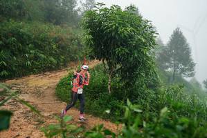 BIB: 
                            <button type="button" onclick="openModal(26383354)" class="btn btn-primary btn-sm float-right btn-popup" data-toggle="modal" data-target=".modal-high-quality">
                        <i class="fas fa-shopping-cart"></i> Add to Cart
                    </button>
                                            <button type="button" onclick="isThisMe(26383354, true)" class="btn btn-success btn-sm float-right btn-popup btn-isme hidden" data-toggle="tooltip" data-placement="bottom" title="นี่คือรูปของคุณใช่ไหม คลิกที่นี่เพื่อเอาเข้าอัลบั้ม">
                        <i class="fas fa-plus"></i> Add to album
                    </button>
                    <button type="button" onclick="isThisMe(26383354, false)" class="btn btn-warning btn-sm float-right btn-popup btn-isnotme hidden">
                        <i class="fas fa-ban"></i> Remove from album
                    </button>