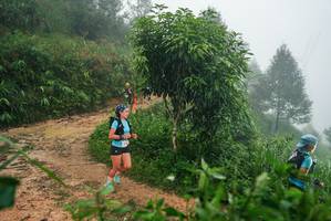 BIB: 
                            <button type="button" onclick="openModal(26382315)" class="btn btn-primary btn-sm float-right btn-popup" data-toggle="modal" data-target=".modal-high-quality">
                        <i class="fas fa-shopping-cart"></i> Add to Cart
                    </button>
                                            <button type="button" onclick="isThisMe(26382315, true)" class="btn btn-success btn-sm float-right btn-popup btn-isme hidden" data-toggle="tooltip" data-placement="bottom" title="นี่คือรูปของคุณใช่ไหม คลิกที่นี่เพื่อเอาเข้าอัลบั้ม">
                        <i class="fas fa-plus"></i> Add to album
                    </button>
                    <button type="button" onclick="isThisMe(26382315, false)" class="btn btn-warning btn-sm float-right btn-popup btn-isnotme hidden">
                        <i class="fas fa-ban"></i> Remove from album
                    </button>