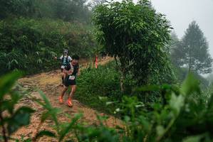 BIB: 
                            <button type="button" onclick="openModal(26380969)" class="btn btn-primary btn-sm float-right btn-popup" data-toggle="modal" data-target=".modal-high-quality">
                        <i class="fas fa-shopping-cart"></i> Add to Cart
                    </button>
                                            <button type="button" onclick="isThisMe(26380969, true)" class="btn btn-success btn-sm float-right btn-popup btn-isme hidden" data-toggle="tooltip" data-placement="bottom" title="นี่คือรูปของคุณใช่ไหม คลิกที่นี่เพื่อเอาเข้าอัลบั้ม">
                        <i class="fas fa-plus"></i> Add to album
                    </button>
                    <button type="button" onclick="isThisMe(26380969, false)" class="btn btn-warning btn-sm float-right btn-popup btn-isnotme hidden">
                        <i class="fas fa-ban"></i> Remove from album
                    </button>