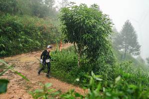 BIB: 
                            <button type="button" onclick="openModal(26385210)" class="btn btn-primary btn-sm float-right btn-popup" data-toggle="modal" data-target=".modal-high-quality">
                        <i class="fas fa-shopping-cart"></i> Add to Cart
                    </button>
                                            <button type="button" onclick="isThisMe(26385210, true)" class="btn btn-success btn-sm float-right btn-popup btn-isme hidden" data-toggle="tooltip" data-placement="bottom" title="นี่คือรูปของคุณใช่ไหม คลิกที่นี่เพื่อเอาเข้าอัลบั้ม">
                        <i class="fas fa-plus"></i> Add to album
                    </button>
                    <button type="button" onclick="isThisMe(26385210, false)" class="btn btn-warning btn-sm float-right btn-popup btn-isnotme hidden">
                        <i class="fas fa-ban"></i> Remove from album
                    </button>