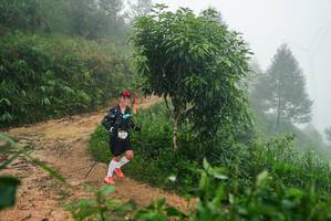 BIB: 
                            <button type="button" onclick="openModal(26384114)" class="btn btn-primary btn-sm float-right btn-popup" data-toggle="modal" data-target=".modal-high-quality">
                        <i class="fas fa-shopping-cart"></i> Add to Cart
                    </button>
                                            <button type="button" onclick="isThisMe(26384114, true)" class="btn btn-success btn-sm float-right btn-popup btn-isme hidden" data-toggle="tooltip" data-placement="bottom" title="นี่คือรูปของคุณใช่ไหม คลิกที่นี่เพื่อเอาเข้าอัลบั้ม">
                        <i class="fas fa-plus"></i> Add to album
                    </button>
                    <button type="button" onclick="isThisMe(26384114, false)" class="btn btn-warning btn-sm float-right btn-popup btn-isnotme hidden">
                        <i class="fas fa-ban"></i> Remove from album
                    </button>