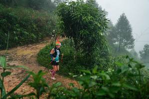 BIB: 
                            <button type="button" onclick="openModal(26380193)" class="btn btn-primary btn-sm float-right btn-popup" data-toggle="modal" data-target=".modal-high-quality">
                        <i class="fas fa-shopping-cart"></i> Add to Cart
                    </button>
                                            <button type="button" onclick="isThisMe(26380193, true)" class="btn btn-success btn-sm float-right btn-popup btn-isme hidden" data-toggle="tooltip" data-placement="bottom" title="นี่คือรูปของคุณใช่ไหม คลิกที่นี่เพื่อเอาเข้าอัลบั้ม">
                        <i class="fas fa-plus"></i> Add to album
                    </button>
                    <button type="button" onclick="isThisMe(26380193, false)" class="btn btn-warning btn-sm float-right btn-popup btn-isnotme hidden">
                        <i class="fas fa-ban"></i> Remove from album
                    </button>