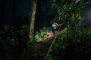 BIB: 
                            <button type="button" onclick="openModal(26375287)" class="btn btn-primary btn-sm float-right btn-popup" data-toggle="modal" data-target=".modal-high-quality">
                        <i class="fas fa-shopping-cart"></i> Add to Cart
                    </button>
                                            <button type="button" onclick="isThisMe(26375287, true)" class="btn btn-success btn-sm float-right btn-popup btn-isme hidden" data-toggle="tooltip" data-placement="bottom" title="นี่คือรูปของคุณใช่ไหม คลิกที่นี่เพื่อเอาเข้าอัลบั้ม">
                        <i class="fas fa-plus"></i> Add to album
                    </button>
                    <button type="button" onclick="isThisMe(26375287, false)" class="btn btn-warning btn-sm float-right btn-popup btn-isnotme hidden">
                        <i class="fas fa-ban"></i> Remove from album
                    </button>