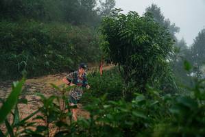 BIB: 
                            <button type="button" onclick="openModal(26379318)" class="btn btn-primary btn-sm float-right btn-popup" data-toggle="modal" data-target=".modal-high-quality">
                        <i class="fas fa-shopping-cart"></i> Add to Cart
                    </button>
                                            <button type="button" onclick="isThisMe(26379318, true)" class="btn btn-success btn-sm float-right btn-popup btn-isme hidden" data-toggle="tooltip" data-placement="bottom" title="นี่คือรูปของคุณใช่ไหม คลิกที่นี่เพื่อเอาเข้าอัลบั้ม">
                        <i class="fas fa-plus"></i> Add to album
                    </button>
                    <button type="button" onclick="isThisMe(26379318, false)" class="btn btn-warning btn-sm float-right btn-popup btn-isnotme hidden">
                        <i class="fas fa-ban"></i> Remove from album
                    </button>