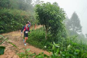 BIB: 
                            <button type="button" onclick="openModal(26384492)" class="btn btn-primary btn-sm float-right btn-popup" data-toggle="modal" data-target=".modal-high-quality">
                        <i class="fas fa-shopping-cart"></i> Add to Cart
                    </button>
                                            <button type="button" onclick="isThisMe(26384492, true)" class="btn btn-success btn-sm float-right btn-popup btn-isme hidden" data-toggle="tooltip" data-placement="bottom" title="นี่คือรูปของคุณใช่ไหม คลิกที่นี่เพื่อเอาเข้าอัลบั้ม">
                        <i class="fas fa-plus"></i> Add to album
                    </button>
                    <button type="button" onclick="isThisMe(26384492, false)" class="btn btn-warning btn-sm float-right btn-popup btn-isnotme hidden">
                        <i class="fas fa-ban"></i> Remove from album
                    </button>