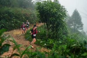 BIB: 
                            <button type="button" onclick="openModal(26381215)" class="btn btn-primary btn-sm float-right btn-popup" data-toggle="modal" data-target=".modal-high-quality">
                        <i class="fas fa-shopping-cart"></i> Add to Cart
                    </button>
                                            <button type="button" onclick="isThisMe(26381215, true)" class="btn btn-success btn-sm float-right btn-popup btn-isme hidden" data-toggle="tooltip" data-placement="bottom" title="นี่คือรูปของคุณใช่ไหม คลิกที่นี่เพื่อเอาเข้าอัลบั้ม">
                        <i class="fas fa-plus"></i> Add to album
                    </button>
                    <button type="button" onclick="isThisMe(26381215, false)" class="btn btn-warning btn-sm float-right btn-popup btn-isnotme hidden">
                        <i class="fas fa-ban"></i> Remove from album
                    </button>