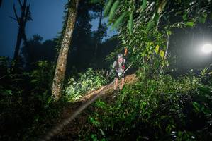 BIB: 
                            <button type="button" onclick="openModal(26375761)" class="btn btn-primary btn-sm float-right btn-popup" data-toggle="modal" data-target=".modal-high-quality">
                        <i class="fas fa-shopping-cart"></i> Add to Cart
                    </button>
                                            <button type="button" onclick="isThisMe(26375761, true)" class="btn btn-success btn-sm float-right btn-popup btn-isme hidden" data-toggle="tooltip" data-placement="bottom" title="นี่คือรูปของคุณใช่ไหม คลิกที่นี่เพื่อเอาเข้าอัลบั้ม">
                        <i class="fas fa-plus"></i> Add to album
                    </button>
                    <button type="button" onclick="isThisMe(26375761, false)" class="btn btn-warning btn-sm float-right btn-popup btn-isnotme hidden">
                        <i class="fas fa-ban"></i> Remove from album
                    </button>