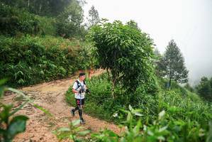 BIB: 
                            <button type="button" onclick="openModal(26386071)" class="btn btn-primary btn-sm float-right btn-popup" data-toggle="modal" data-target=".modal-high-quality">
                        <i class="fas fa-shopping-cart"></i> Add to Cart
                    </button>
                                            <button type="button" onclick="isThisMe(26386071, true)" class="btn btn-success btn-sm float-right btn-popup btn-isme hidden" data-toggle="tooltip" data-placement="bottom" title="นี่คือรูปของคุณใช่ไหม คลิกที่นี่เพื่อเอาเข้าอัลบั้ม">
                        <i class="fas fa-plus"></i> Add to album
                    </button>
                    <button type="button" onclick="isThisMe(26386071, false)" class="btn btn-warning btn-sm float-right btn-popup btn-isnotme hidden">
                        <i class="fas fa-ban"></i> Remove from album
                    </button>