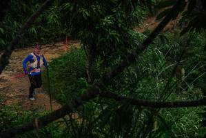 BIB: 
                            <button type="button" onclick="openModal(26386294)" class="btn btn-primary btn-sm float-right btn-popup" data-toggle="modal" data-target=".modal-high-quality">
                        <i class="fas fa-shopping-cart"></i> Add to Cart
                    </button>
                                            <button type="button" onclick="isThisMe(26386294, true)" class="btn btn-success btn-sm float-right btn-popup btn-isme hidden" data-toggle="tooltip" data-placement="bottom" title="นี่คือรูปของคุณใช่ไหม คลิกที่นี่เพื่อเอาเข้าอัลบั้ม">
                        <i class="fas fa-plus"></i> Add to album
                    </button>
                    <button type="button" onclick="isThisMe(26386294, false)" class="btn btn-warning btn-sm float-right btn-popup btn-isnotme hidden">
                        <i class="fas fa-ban"></i> Remove from album
                    </button>