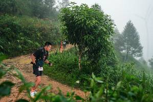 BIB: 
                            <button type="button" onclick="openModal(26381965)" class="btn btn-primary btn-sm float-right btn-popup" data-toggle="modal" data-target=".modal-high-quality">
                        <i class="fas fa-shopping-cart"></i> Add to Cart
                    </button>
                                            <button type="button" onclick="isThisMe(26381965, true)" class="btn btn-success btn-sm float-right btn-popup btn-isme hidden" data-toggle="tooltip" data-placement="bottom" title="นี่คือรูปของคุณใช่ไหม คลิกที่นี่เพื่อเอาเข้าอัลบั้ม">
                        <i class="fas fa-plus"></i> Add to album
                    </button>
                    <button type="button" onclick="isThisMe(26381965, false)" class="btn btn-warning btn-sm float-right btn-popup btn-isnotme hidden">
                        <i class="fas fa-ban"></i> Remove from album
                    </button>