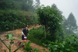 BIB: 
                            <button type="button" onclick="openModal(26380367)" class="btn btn-primary btn-sm float-right btn-popup" data-toggle="modal" data-target=".modal-high-quality">
                        <i class="fas fa-shopping-cart"></i> Add to Cart
                    </button>
                                            <button type="button" onclick="isThisMe(26380367, true)" class="btn btn-success btn-sm float-right btn-popup btn-isme hidden" data-toggle="tooltip" data-placement="bottom" title="นี่คือรูปของคุณใช่ไหม คลิกที่นี่เพื่อเอาเข้าอัลบั้ม">
                        <i class="fas fa-plus"></i> Add to album
                    </button>
                    <button type="button" onclick="isThisMe(26380367, false)" class="btn btn-warning btn-sm float-right btn-popup btn-isnotme hidden">
                        <i class="fas fa-ban"></i> Remove from album
                    </button>