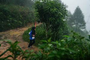 BIB: 
                            <button type="button" onclick="openModal(26379506)" class="btn btn-primary btn-sm float-right btn-popup" data-toggle="modal" data-target=".modal-high-quality">
                        <i class="fas fa-shopping-cart"></i> Add to Cart
                    </button>
                                            <button type="button" onclick="isThisMe(26379506, true)" class="btn btn-success btn-sm float-right btn-popup btn-isme hidden" data-toggle="tooltip" data-placement="bottom" title="นี่คือรูปของคุณใช่ไหม คลิกที่นี่เพื่อเอาเข้าอัลบั้ม">
                        <i class="fas fa-plus"></i> Add to album
                    </button>
                    <button type="button" onclick="isThisMe(26379506, false)" class="btn btn-warning btn-sm float-right btn-popup btn-isnotme hidden">
                        <i class="fas fa-ban"></i> Remove from album
                    </button>