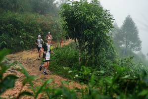 BIB: 
                            <button type="button" onclick="openModal(26381412)" class="btn btn-primary btn-sm float-right btn-popup" data-toggle="modal" data-target=".modal-high-quality">
                        <i class="fas fa-shopping-cart"></i> Add to Cart
                    </button>
                                            <button type="button" onclick="isThisMe(26381412, true)" class="btn btn-success btn-sm float-right btn-popup btn-isme hidden" data-toggle="tooltip" data-placement="bottom" title="นี่คือรูปของคุณใช่ไหม คลิกที่นี่เพื่อเอาเข้าอัลบั้ม">
                        <i class="fas fa-plus"></i> Add to album
                    </button>
                    <button type="button" onclick="isThisMe(26381412, false)" class="btn btn-warning btn-sm float-right btn-popup btn-isnotme hidden">
                        <i class="fas fa-ban"></i> Remove from album
                    </button>