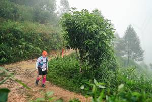 BIB: 
                            <button type="button" onclick="openModal(26385713)" class="btn btn-primary btn-sm float-right btn-popup" data-toggle="modal" data-target=".modal-high-quality">
                        <i class="fas fa-shopping-cart"></i> Add to Cart
                    </button>
                                            <button type="button" onclick="isThisMe(26385713, true)" class="btn btn-success btn-sm float-right btn-popup btn-isme hidden" data-toggle="tooltip" data-placement="bottom" title="นี่คือรูปของคุณใช่ไหม คลิกที่นี่เพื่อเอาเข้าอัลบั้ม">
                        <i class="fas fa-plus"></i> Add to album
                    </button>
                    <button type="button" onclick="isThisMe(26385713, false)" class="btn btn-warning btn-sm float-right btn-popup btn-isnotme hidden">
                        <i class="fas fa-ban"></i> Remove from album
                    </button>