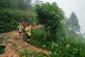 BIB: 
                            <button type="button" onclick="openModal(26383570)" class="btn btn-primary btn-sm float-right btn-popup" data-toggle="modal" data-target=".modal-high-quality">
                        <i class="fas fa-shopping-cart"></i> Add to Cart
                    </button>
                                            <button type="button" onclick="isThisMe(26383570, true)" class="btn btn-success btn-sm float-right btn-popup btn-isme hidden" data-toggle="tooltip" data-placement="bottom" title="นี่คือรูปของคุณใช่ไหม คลิกที่นี่เพื่อเอาเข้าอัลบั้ม">
                        <i class="fas fa-plus"></i> Add to album
                    </button>
                    <button type="button" onclick="isThisMe(26383570, false)" class="btn btn-warning btn-sm float-right btn-popup btn-isnotme hidden">
                        <i class="fas fa-ban"></i> Remove from album
                    </button>