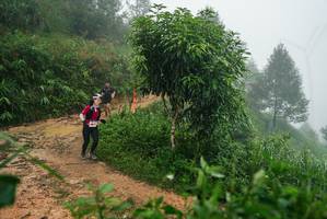 BIB: 
                            <button type="button" onclick="openModal(26383309)" class="btn btn-primary btn-sm float-right btn-popup" data-toggle="modal" data-target=".modal-high-quality">
                        <i class="fas fa-shopping-cart"></i> Add to Cart
                    </button>
                                            <button type="button" onclick="isThisMe(26383309, true)" class="btn btn-success btn-sm float-right btn-popup btn-isme hidden" data-toggle="tooltip" data-placement="bottom" title="นี่คือรูปของคุณใช่ไหม คลิกที่นี่เพื่อเอาเข้าอัลบั้ม">
                        <i class="fas fa-plus"></i> Add to album
                    </button>
                    <button type="button" onclick="isThisMe(26383309, false)" class="btn btn-warning btn-sm float-right btn-popup btn-isnotme hidden">
                        <i class="fas fa-ban"></i> Remove from album
                    </button>