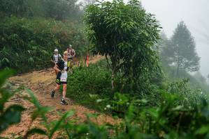 BIB: 
                            <button type="button" onclick="openModal(26381411)" class="btn btn-primary btn-sm float-right btn-popup" data-toggle="modal" data-target=".modal-high-quality">
                        <i class="fas fa-shopping-cart"></i> Add to Cart
                    </button>
                                            <button type="button" onclick="isThisMe(26381411, true)" class="btn btn-success btn-sm float-right btn-popup btn-isme hidden" data-toggle="tooltip" data-placement="bottom" title="นี่คือรูปของคุณใช่ไหม คลิกที่นี่เพื่อเอาเข้าอัลบั้ม">
                        <i class="fas fa-plus"></i> Add to album
                    </button>
                    <button type="button" onclick="isThisMe(26381411, false)" class="btn btn-warning btn-sm float-right btn-popup btn-isnotme hidden">
                        <i class="fas fa-ban"></i> Remove from album
                    </button>