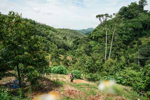 BIB: 
                            <button type="button" onclick="openModal(26389690)" class="btn btn-primary btn-sm float-right btn-popup" data-toggle="modal" data-target=".modal-high-quality">
                        <i class="fas fa-shopping-cart"></i> Add to Cart
                    </button>
                                            <button type="button" onclick="isThisMe(26389690, true)" class="btn btn-success btn-sm float-right btn-popup btn-isme hidden" data-toggle="tooltip" data-placement="bottom" title="นี่คือรูปของคุณใช่ไหม คลิกที่นี่เพื่อเอาเข้าอัลบั้ม">
                        <i class="fas fa-plus"></i> Add to album
                    </button>
                    <button type="button" onclick="isThisMe(26389690, false)" class="btn btn-warning btn-sm float-right btn-popup btn-isnotme hidden">
                        <i class="fas fa-ban"></i> Remove from album
                    </button>