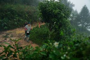 BIB: 
                            <button type="button" onclick="openModal(26378952)" class="btn btn-primary btn-sm float-right btn-popup" data-toggle="modal" data-target=".modal-high-quality">
                        <i class="fas fa-shopping-cart"></i> Add to Cart
                    </button>
                                            <button type="button" onclick="isThisMe(26378952, true)" class="btn btn-success btn-sm float-right btn-popup btn-isme hidden" data-toggle="tooltip" data-placement="bottom" title="นี่คือรูปของคุณใช่ไหม คลิกที่นี่เพื่อเอาเข้าอัลบั้ม">
                        <i class="fas fa-plus"></i> Add to album
                    </button>
                    <button type="button" onclick="isThisMe(26378952, false)" class="btn btn-warning btn-sm float-right btn-popup btn-isnotme hidden">
                        <i class="fas fa-ban"></i> Remove from album
                    </button>