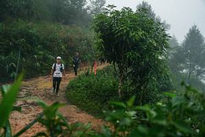 BIB: 
                            <button type="button" onclick="openModal(26379509)" class="btn btn-primary btn-sm float-right btn-popup" data-toggle="modal" data-target=".modal-high-quality">
                        <i class="fas fa-shopping-cart"></i> Add to Cart
                    </button>
                                            <button type="button" onclick="isThisMe(26379509, true)" class="btn btn-success btn-sm float-right btn-popup btn-isme hidden" data-toggle="tooltip" data-placement="bottom" title="นี่คือรูปของคุณใช่ไหม คลิกที่นี่เพื่อเอาเข้าอัลบั้ม">
                        <i class="fas fa-plus"></i> Add to album
                    </button>
                    <button type="button" onclick="isThisMe(26379509, false)" class="btn btn-warning btn-sm float-right btn-popup btn-isnotme hidden">
                        <i class="fas fa-ban"></i> Remove from album
                    </button>