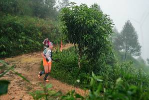 BIB: 
                            <button type="button" onclick="openModal(26383358)" class="btn btn-primary btn-sm float-right btn-popup" data-toggle="modal" data-target=".modal-high-quality">
                        <i class="fas fa-shopping-cart"></i> Add to Cart
                    </button>
                                            <button type="button" onclick="isThisMe(26383358, true)" class="btn btn-success btn-sm float-right btn-popup btn-isme hidden" data-toggle="tooltip" data-placement="bottom" title="นี่คือรูปของคุณใช่ไหม คลิกที่นี่เพื่อเอาเข้าอัลบั้ม">
                        <i class="fas fa-plus"></i> Add to album
                    </button>
                    <button type="button" onclick="isThisMe(26383358, false)" class="btn btn-warning btn-sm float-right btn-popup btn-isnotme hidden">
                        <i class="fas fa-ban"></i> Remove from album
                    </button>