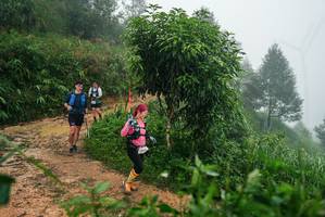 BIB: 
                            <button type="button" onclick="openModal(26382240)" class="btn btn-primary btn-sm float-right btn-popup" data-toggle="modal" data-target=".modal-high-quality">
                        <i class="fas fa-shopping-cart"></i> Add to Cart
                    </button>
                                            <button type="button" onclick="isThisMe(26382240, true)" class="btn btn-success btn-sm float-right btn-popup btn-isme hidden" data-toggle="tooltip" data-placement="bottom" title="นี่คือรูปของคุณใช่ไหม คลิกที่นี่เพื่อเอาเข้าอัลบั้ม">
                        <i class="fas fa-plus"></i> Add to album
                    </button>
                    <button type="button" onclick="isThisMe(26382240, false)" class="btn btn-warning btn-sm float-right btn-popup btn-isnotme hidden">
                        <i class="fas fa-ban"></i> Remove from album
                    </button>