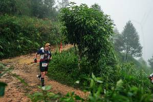 BIB: 
                            <button type="button" onclick="openModal(26382269)" class="btn btn-primary btn-sm float-right btn-popup" data-toggle="modal" data-target=".modal-high-quality">
                        <i class="fas fa-shopping-cart"></i> Add to Cart
                    </button>
                                            <button type="button" onclick="isThisMe(26382269, true)" class="btn btn-success btn-sm float-right btn-popup btn-isme hidden" data-toggle="tooltip" data-placement="bottom" title="นี่คือรูปของคุณใช่ไหม คลิกที่นี่เพื่อเอาเข้าอัลบั้ม">
                        <i class="fas fa-plus"></i> Add to album
                    </button>
                    <button type="button" onclick="isThisMe(26382269, false)" class="btn btn-warning btn-sm float-right btn-popup btn-isnotme hidden">
                        <i class="fas fa-ban"></i> Remove from album
                    </button>