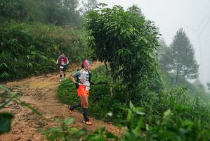 BIB: 
                            <button type="button" onclick="openModal(26383373)" class="btn btn-primary btn-sm float-right btn-popup" data-toggle="modal" data-target=".modal-high-quality">
                        <i class="fas fa-shopping-cart"></i> Add to Cart
                    </button>
                                            <button type="button" onclick="isThisMe(26383373, true)" class="btn btn-success btn-sm float-right btn-popup btn-isme hidden" data-toggle="tooltip" data-placement="bottom" title="นี่คือรูปของคุณใช่ไหม คลิกที่นี่เพื่อเอาเข้าอัลบั้ม">
                        <i class="fas fa-plus"></i> Add to album
                    </button>
                    <button type="button" onclick="isThisMe(26383373, false)" class="btn btn-warning btn-sm float-right btn-popup btn-isnotme hidden">
                        <i class="fas fa-ban"></i> Remove from album
                    </button>