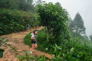 BIB: 
                            <button type="button" onclick="openModal(26382094)" class="btn btn-primary btn-sm float-right btn-popup" data-toggle="modal" data-target=".modal-high-quality">
                        <i class="fas fa-shopping-cart"></i> Add to Cart
                    </button>
                                            <button type="button" onclick="isThisMe(26382094, true)" class="btn btn-success btn-sm float-right btn-popup btn-isme hidden" data-toggle="tooltip" data-placement="bottom" title="นี่คือรูปของคุณใช่ไหม คลิกที่นี่เพื่อเอาเข้าอัลบั้ม">
                        <i class="fas fa-plus"></i> Add to album
                    </button>
                    <button type="button" onclick="isThisMe(26382094, false)" class="btn btn-warning btn-sm float-right btn-popup btn-isnotme hidden">
                        <i class="fas fa-ban"></i> Remove from album
                    </button>